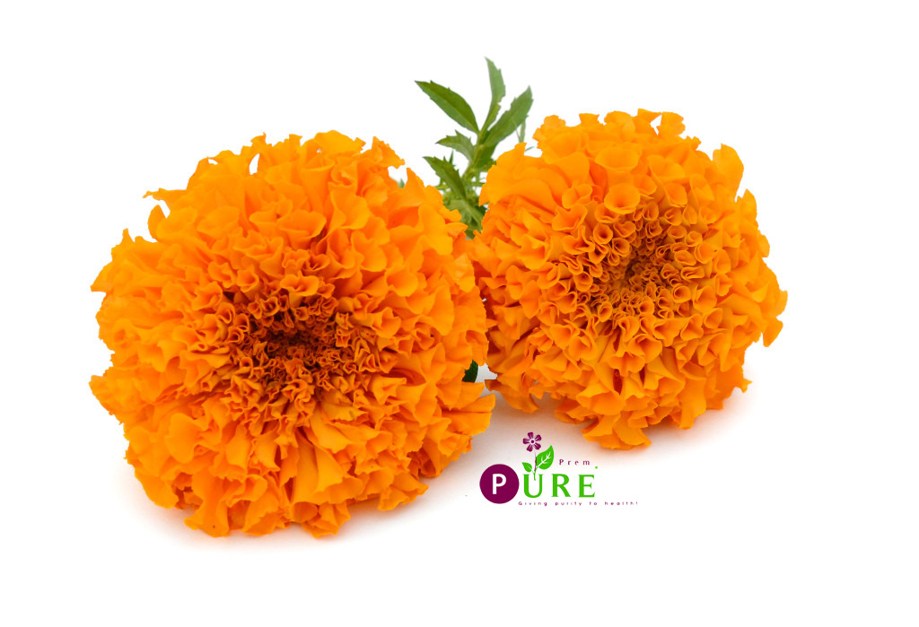 <b>Marigold Extract</b>