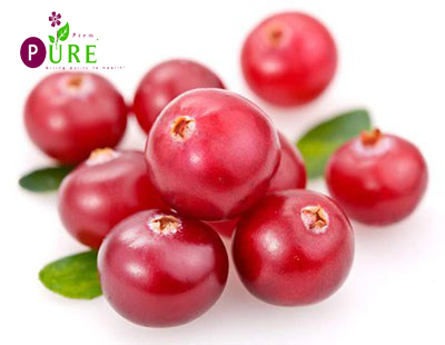 <b>Cranberry Extract</b>