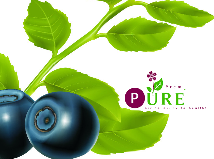 <b>Bilberry Extract</b>
