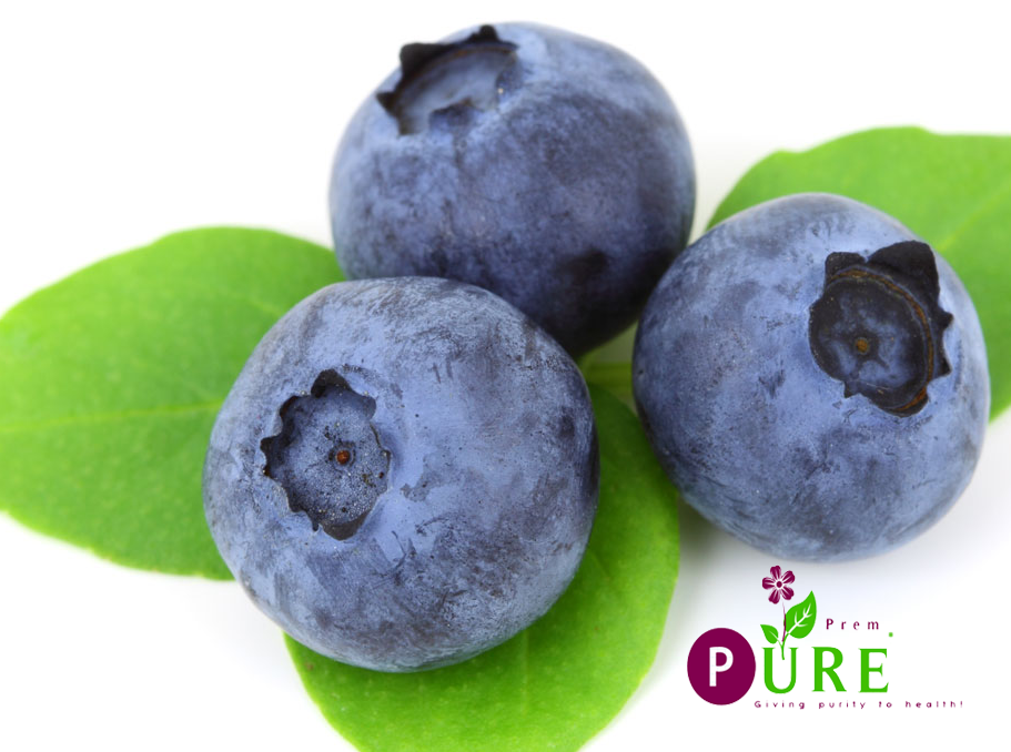 <b>Blueberry Extract</b>