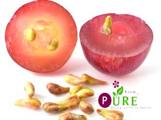 <b>Grape Seed Extract</b>