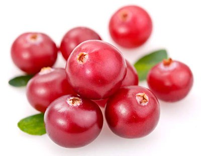 <b>Cranberry Extract</b>