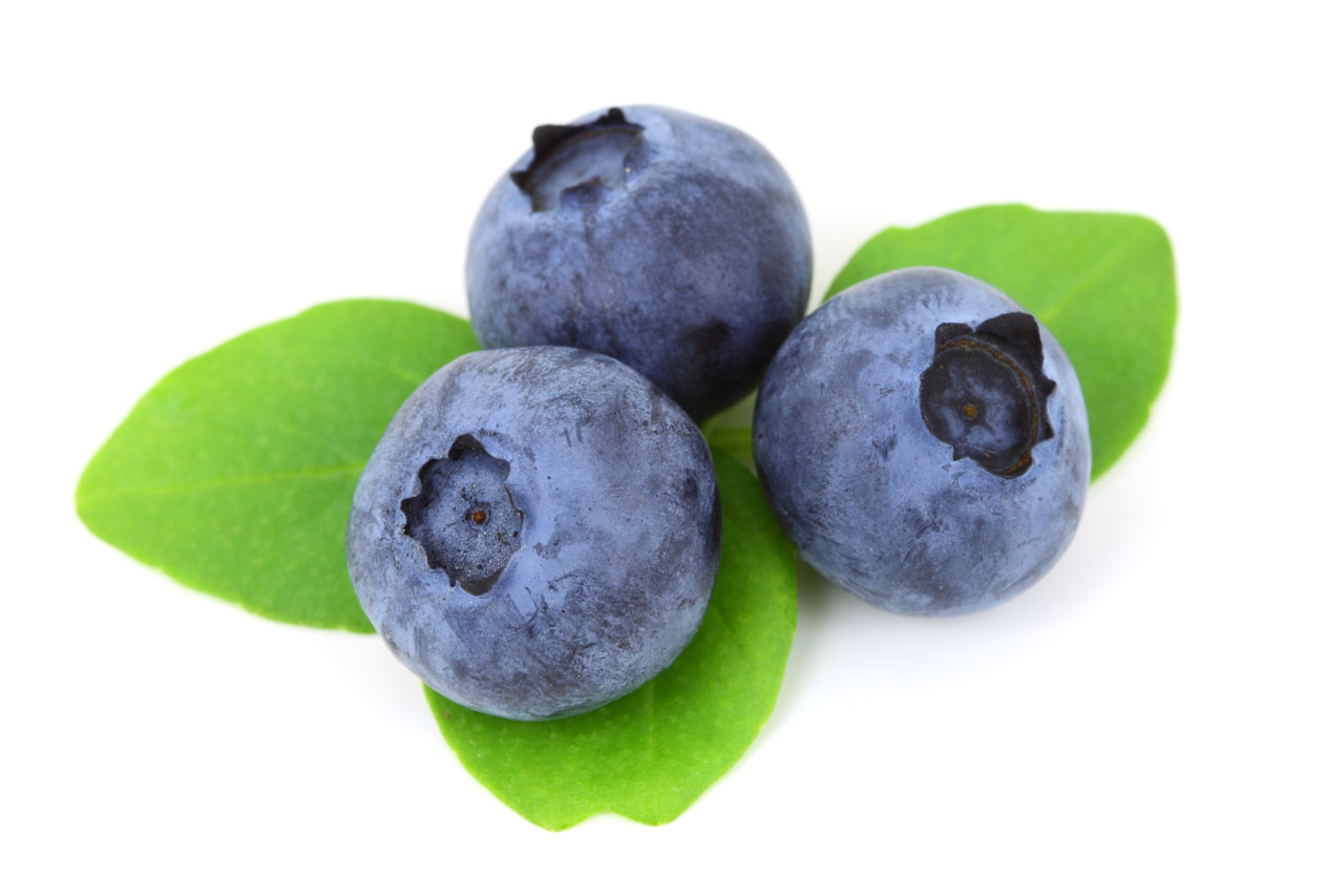 <b>Blueberry Extract</b>