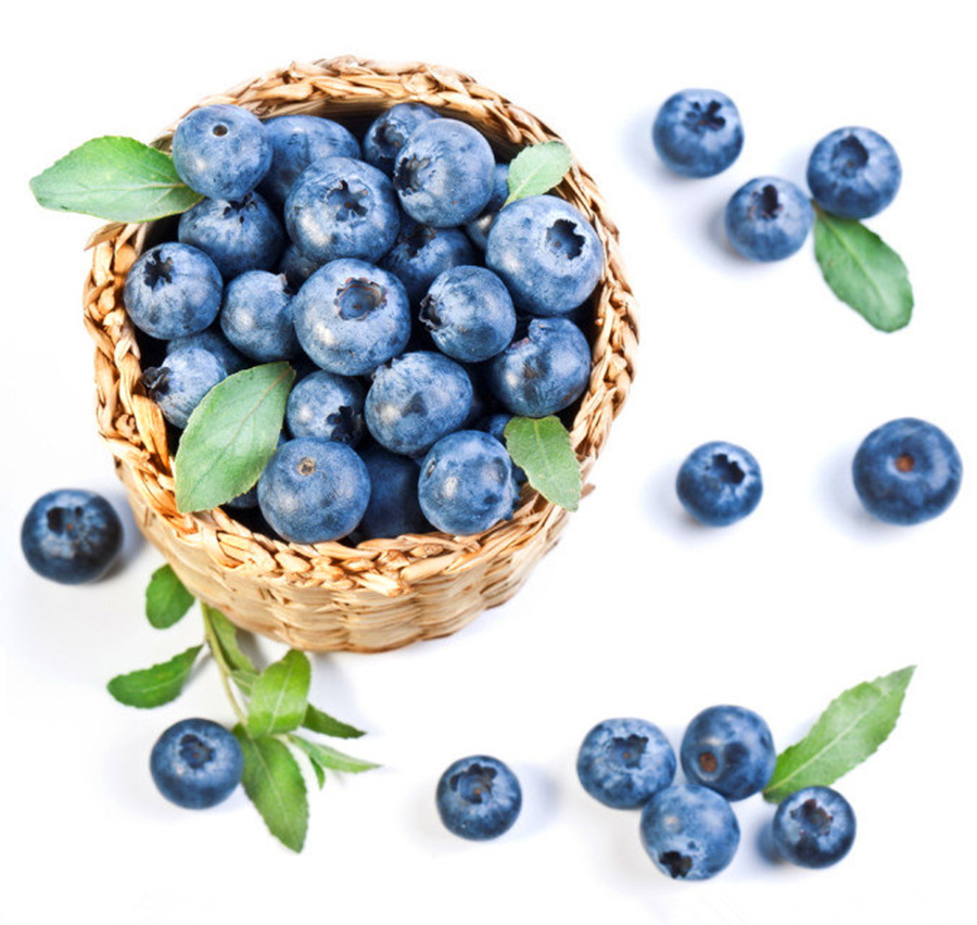 <b>Bilberry Extract</b>