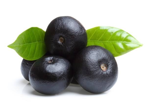 <b>Acaiberry Extract</b>