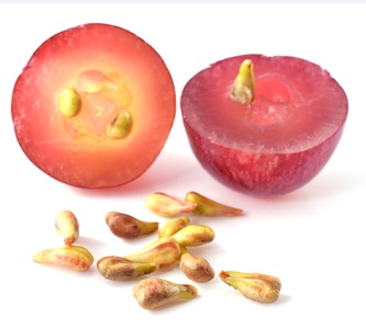 <b>Grape Seed Extract</b>