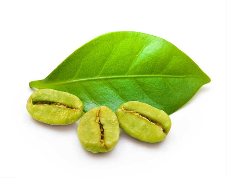 Green Coffee Bean Extract