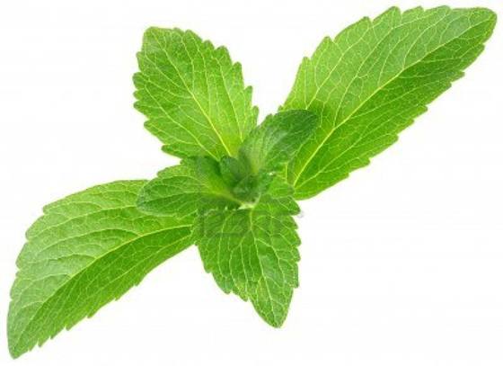 <b>Stevia Extract</b>