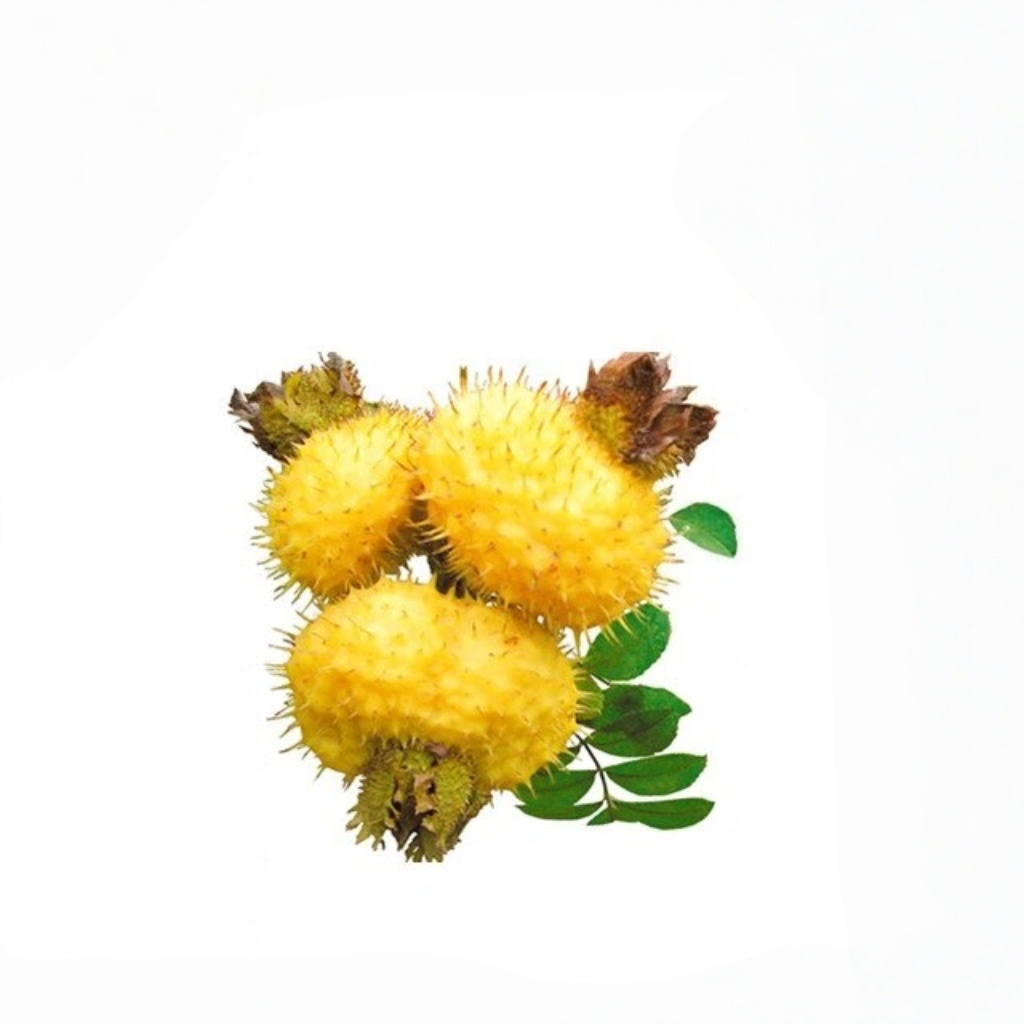 <b>Rosa Roxburghii Extract(SOD)</b>