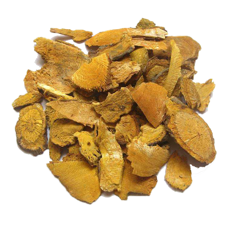 Polygonum Cuspidatum Extract