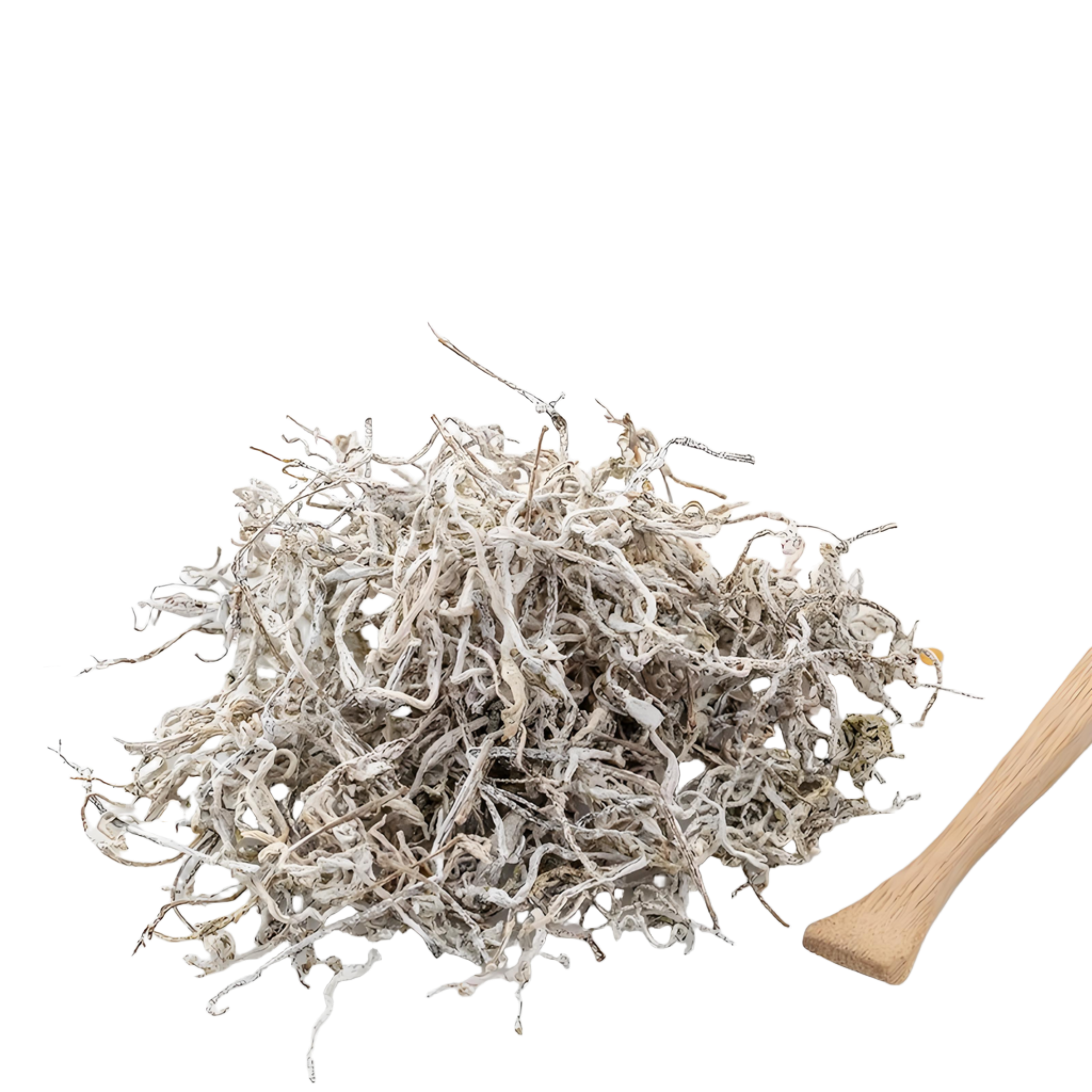 <b>Vine Tea Extract</b>